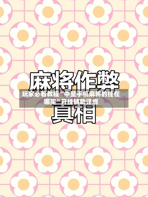 玩家必看教程“中至手机麻将的挂在哪买”开挂辅助详细-第2张图片