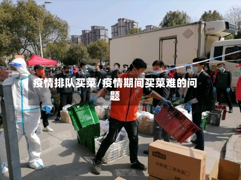 疫情排队买菜/疫情期间买菜难的问题-第3张图片