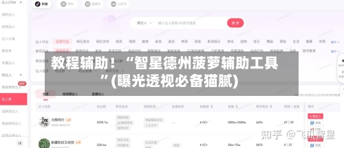 教程辅助！“智星德州菠萝辅助工具	”(曝光透视必备猫腻)-第1张图片
