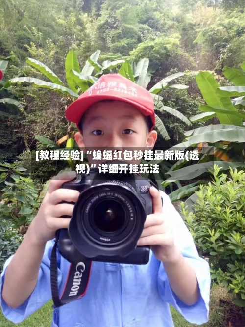 [教程经验]“蝙蝠红包秒挂最新版(透视)”详细开挂玩法-第1张图片