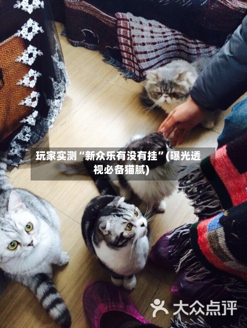 玩家实测“新众乐有没有挂”(曝光透视必备猫腻)-第3张图片