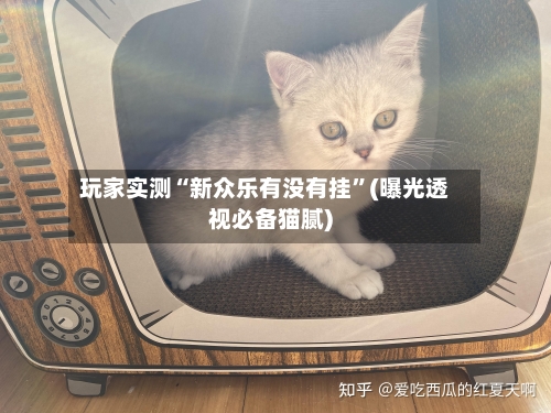 玩家实测“新众乐有没有挂	”(曝光透视必备猫腻)-第1张图片