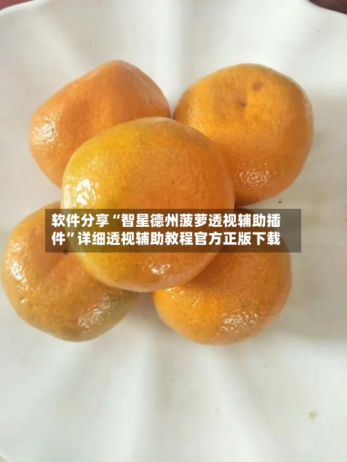 软件分享“智星德州菠萝透视辅助插件”详细透视辅助教程官方正版下载-第1张图片