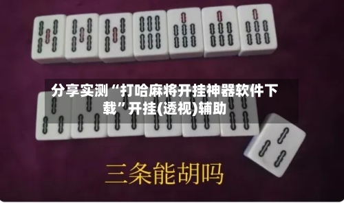 分享实测“打哈麻将开挂神器软件下载”开挂(透视)辅助-第2张图片