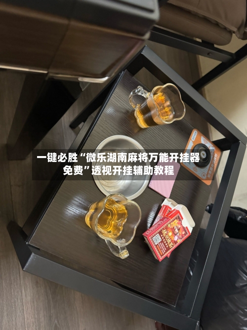 一键必胜“微乐湖南麻将万能开挂器免费”透视开挂辅助教程-第2张图片