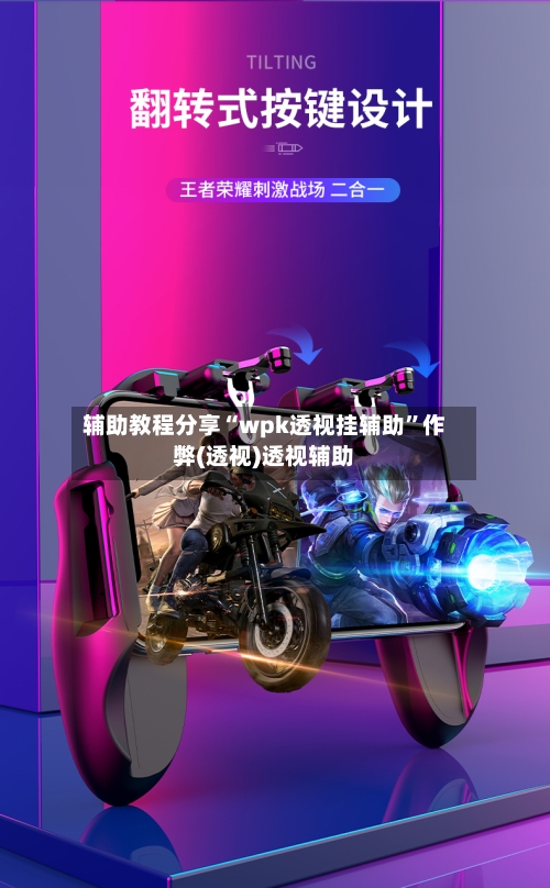 辅助教程分享“wpk透视挂辅助	”作弊(透视)透视辅助-第3张图片