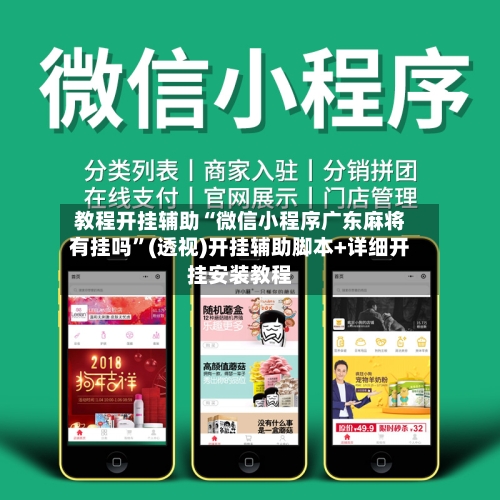 教程开挂辅助“微信小程序广东麻将有挂吗”(透视)开挂辅助脚本+详细开挂安装教程-第1张图片