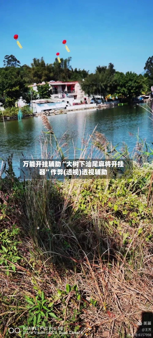 万能开挂辅助“大树下汕尾麻将开挂器”作弊(透视)透视辅助