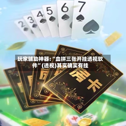 玩家辅助神器:“血拼三张开挂透视软件”(透视)其实确实有挂-第1张图片