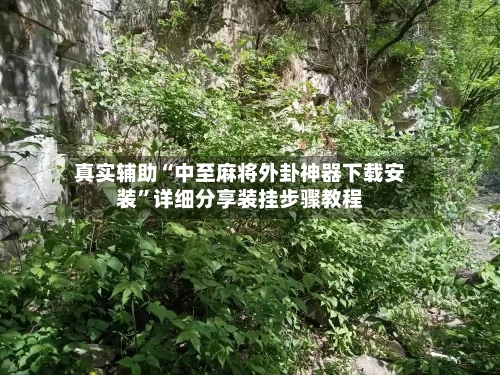 真实辅助“中至麻将外卦神器下载安装”详细分享装挂步骤教程-第1张图片