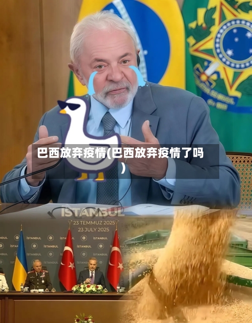 巴西放弃疫情(巴西放弃疫情了吗)-第1张图片