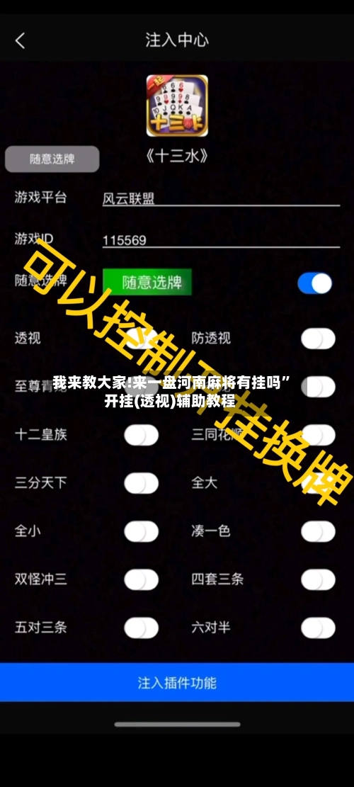 我来教大家!来一盘河南麻将有挂吗”开挂(透视)辅助教程-第1张图片
