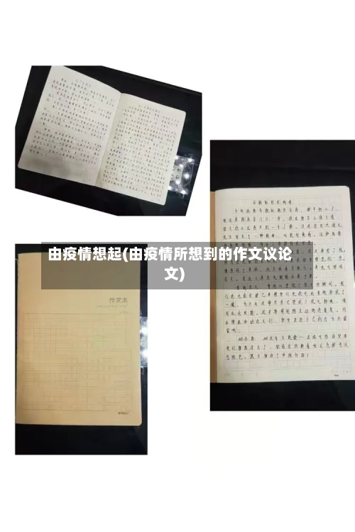由疫情想起(由疫情所想到的作文议论文)-第1张图片