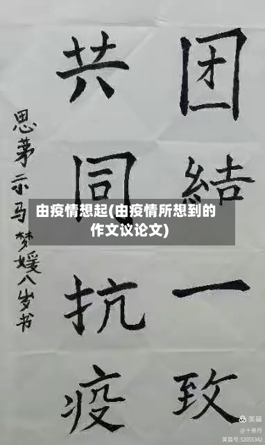 由疫情想起(由疫情所想到的作文议论文)-第2张图片