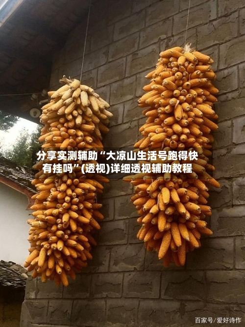 分享实测辅助“大凉山生活号跑得快有挂吗	”(透视)详细透视辅助教程-第1张图片