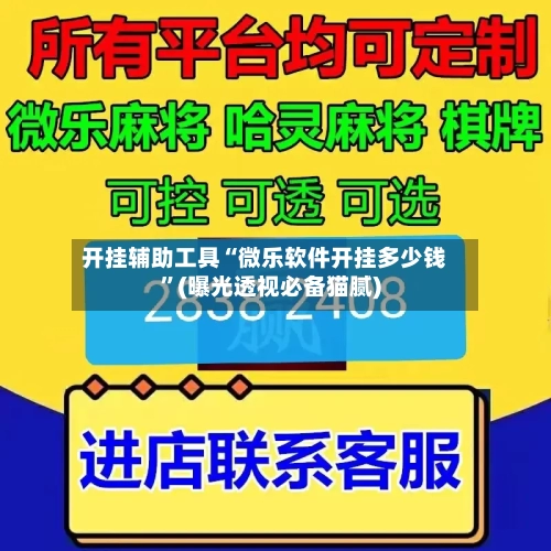 开挂辅助工具“微乐软件开挂多少钱”(曝光透视必备猫腻)-第1张图片