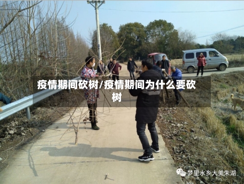 疫情期间砍树/疫情期间为什么要砍树-第1张图片