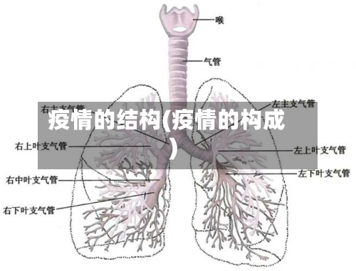 疫情的结构(疫情的构成)-第1张图片