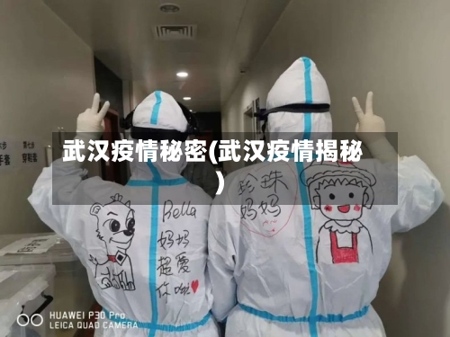武汉疫情秘密(武汉疫情揭秘)-第3张图片