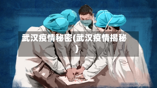 武汉疫情秘密(武汉疫情揭秘)-第2张图片