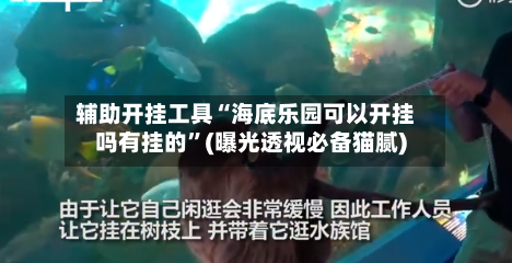 辅助开挂工具“海底乐园可以开挂吗有挂的	”(曝光透视必备猫腻)-第1张图片