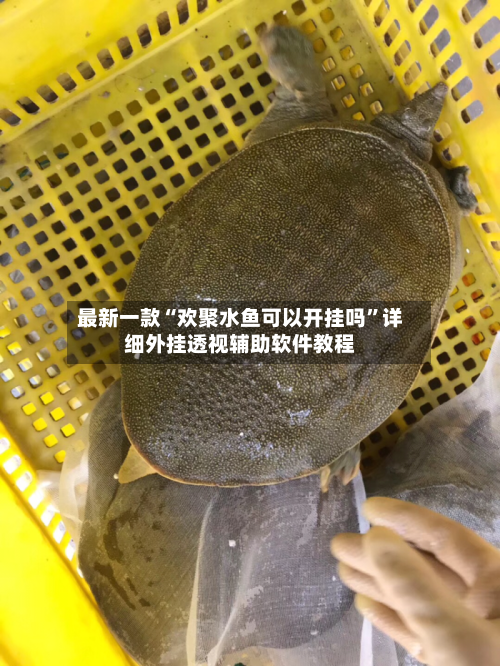 最新一款“欢聚水鱼可以开挂吗”详细外挂透视辅助软件教程-第1张图片