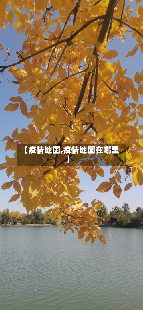 【疫情地囝,疫情地图在哪里】-第3张图片