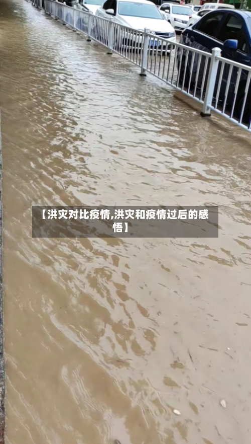 【洪灾对比疫情,洪灾和疫情过后的感悟】-第1张图片