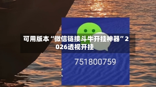 可用版本“微信链接斗牛开挂神器”2026透视开挂-第2张图片