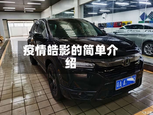 疫情皓影的简单介绍-第1张图片