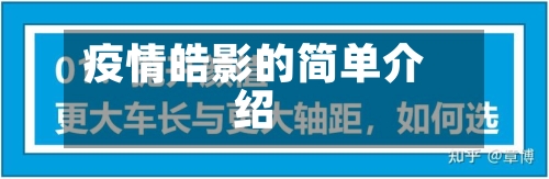 疫情皓影的简单介绍-第2张图片