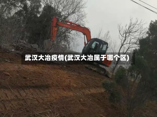 武汉大冶疫情(武汉大冶属于哪个区)-第2张图片