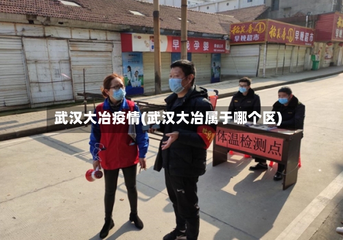 武汉大冶疫情(武汉大冶属于哪个区)-第1张图片