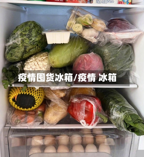疫情囤货冰箱/疫情 冰箱-第1张图片
