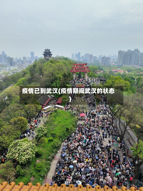 疫情已到武汉(疫情期间武汉的状态)-第2张图片