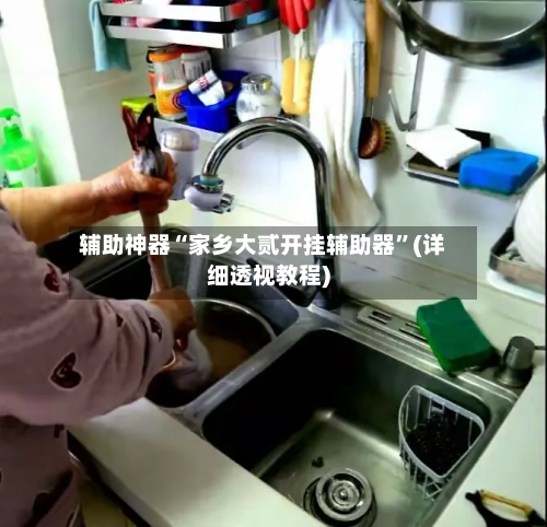 辅助神器“家乡大贰开挂辅助器”(详细透视教程)-第1张图片