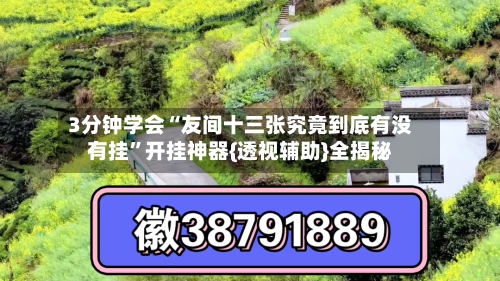 3分钟学会“友间十三张究竟到底有没有挂	”开挂神器{透视辅助}全揭秘-第2张图片