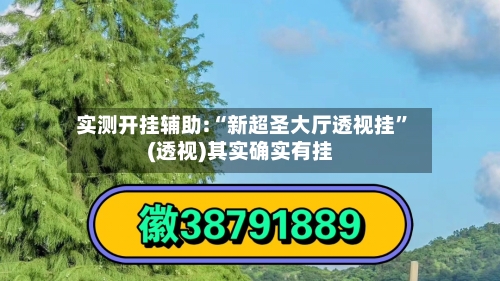 实测开挂辅助:“新超圣大厅透视挂”(透视)其实确实有挂-第1张图片
