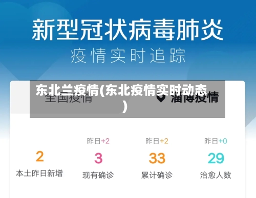 东北兰疫情(东北疫情实时动态)-第1张图片