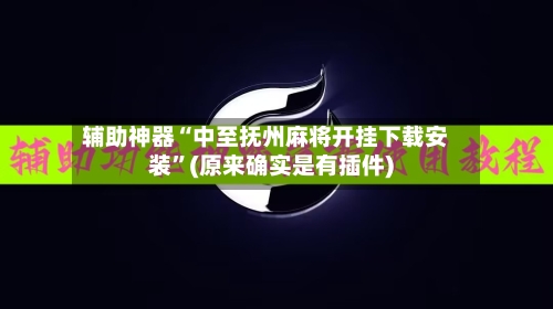 辅助神器“中至抚州麻将开挂下载安装”(原来确实是有插件)-第3张图片