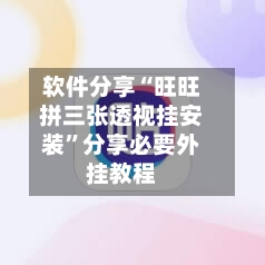 软件分享“旺旺拼三张透视挂安装”分享必要外挂教程-第2张图片