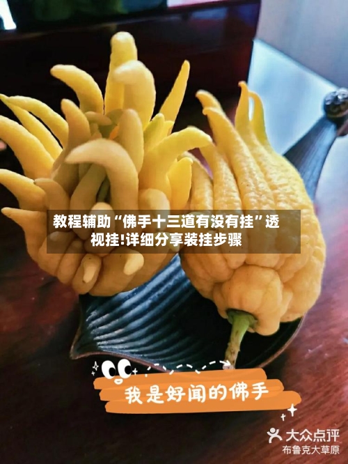 教程辅助“佛手十三道有没有挂	”透视挂!详细分享装挂步骤-第1张图片