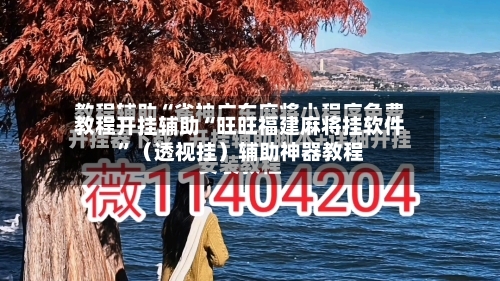 教程开挂辅助“旺旺福建麻将挂软件	”（透视挂）辅助神器教程-第2张图片