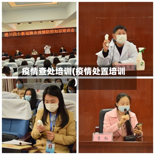 疫情查处培训(疫情处置培训)-第1张图片