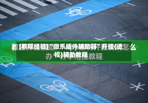 [教程经验]“微乐插件辅助器”开挂(透视)辅助教程-第1张图片