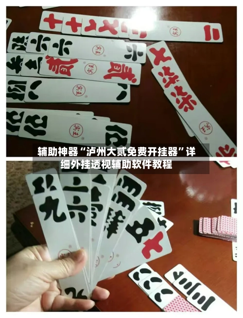 辅助神器“泸州大贰免费开挂器”详细外挂透视辅助软件教程-第1张图片