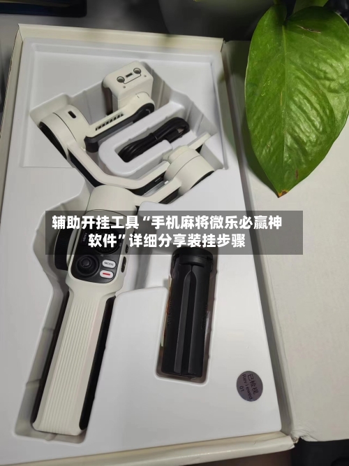 辅助开挂工具“手机麻将微乐必赢神软件”详细分享装挂步骤-第2张图片