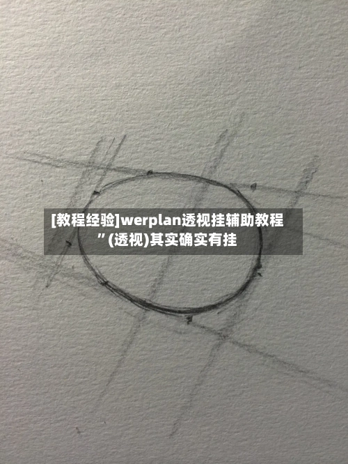 [教程经验]werplan透视挂辅助教程”(透视)其实确实有挂-第1张图片