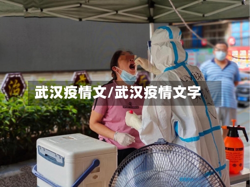 武汉疫情文/武汉疫情文字-第2张图片