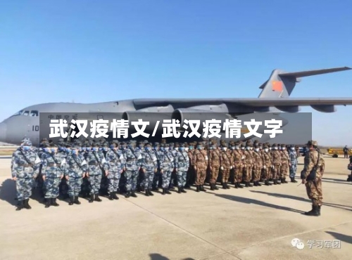 武汉疫情文/武汉疫情文字-第3张图片